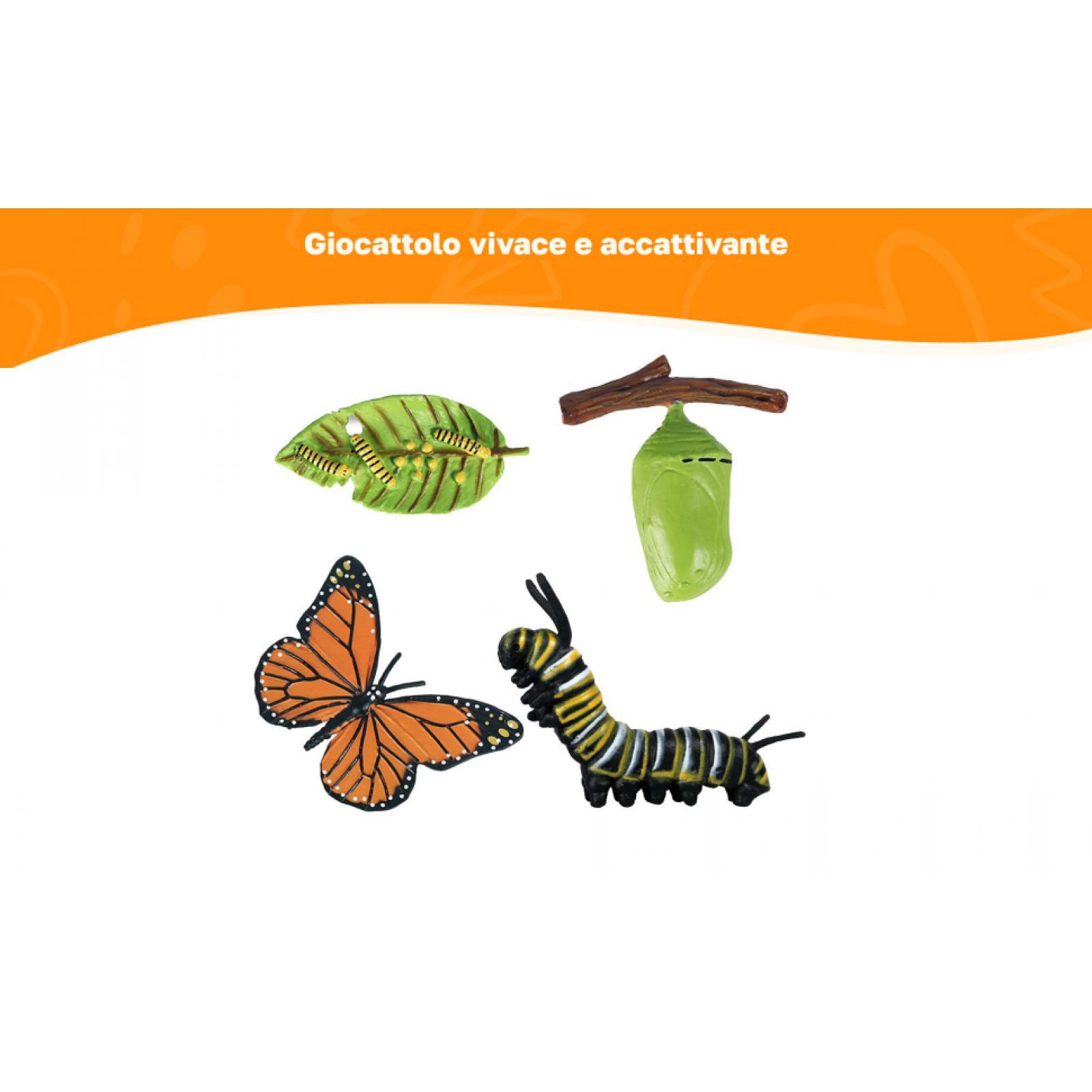 ของเล่นการเรียนรู้เกี่ยวกับวงจ - Kids Education Sites บทวิจารณ์และราคา