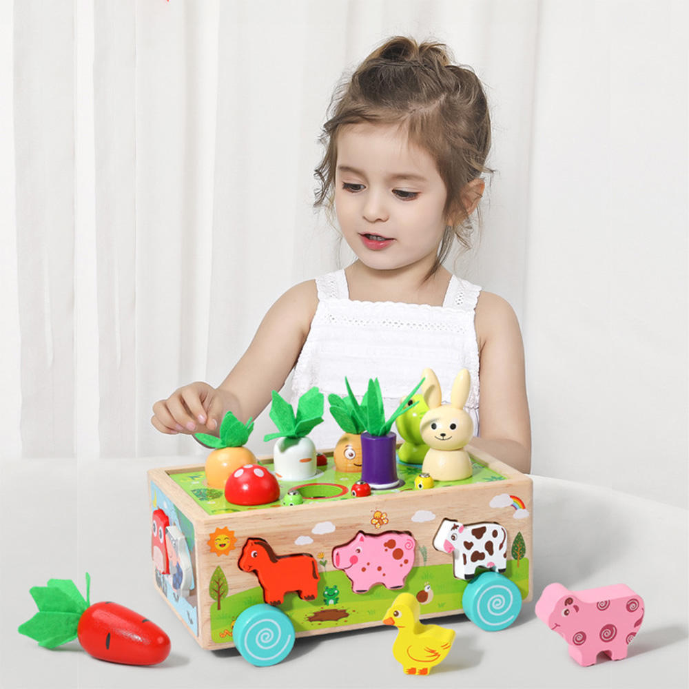 การจัดประเภทของเล่นรูปทรงไม้ขอ - Kids Nature Education บทวิจารณ์และราคา