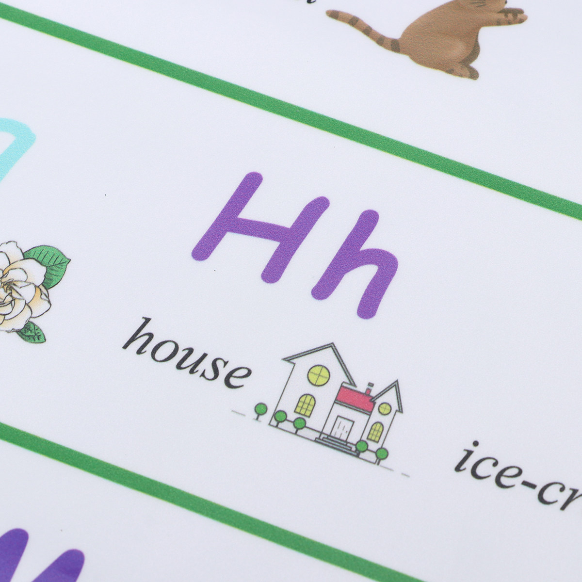 โปสเตอร์การศึกษาปฐมวัยพรีเมียม - Kids Educational Posters บทวิจารณ์และราคา
