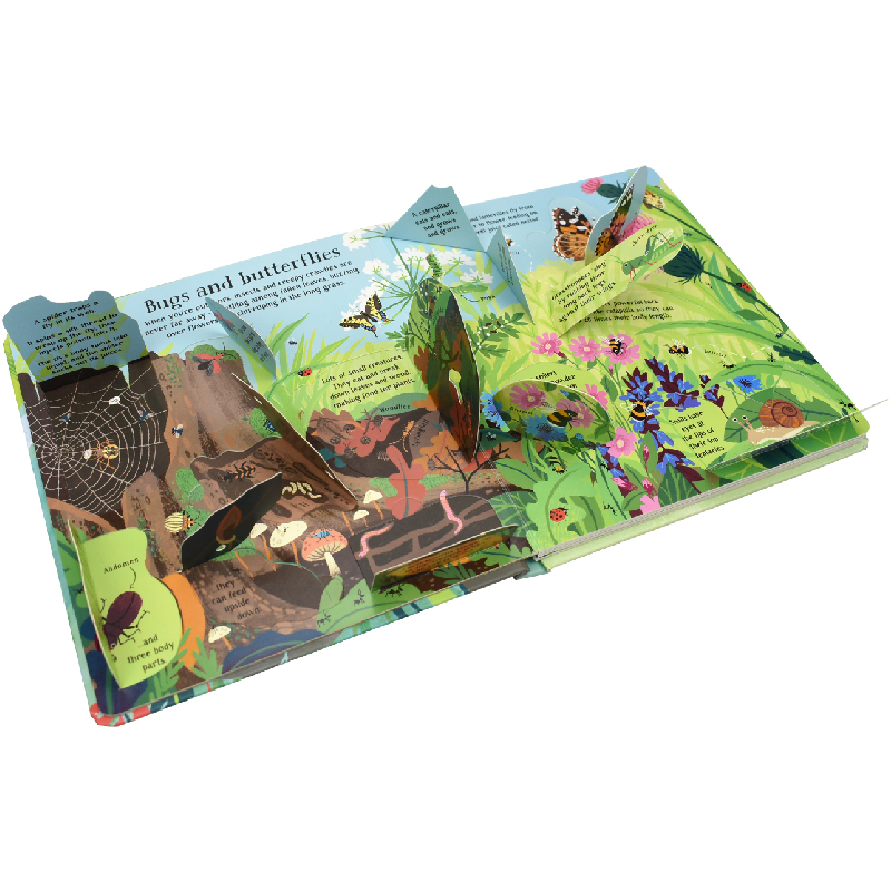 ภาษาอังกฤษ Montessori 3D Usbor - Kids Nature Education บทวิจารณ์และราคา