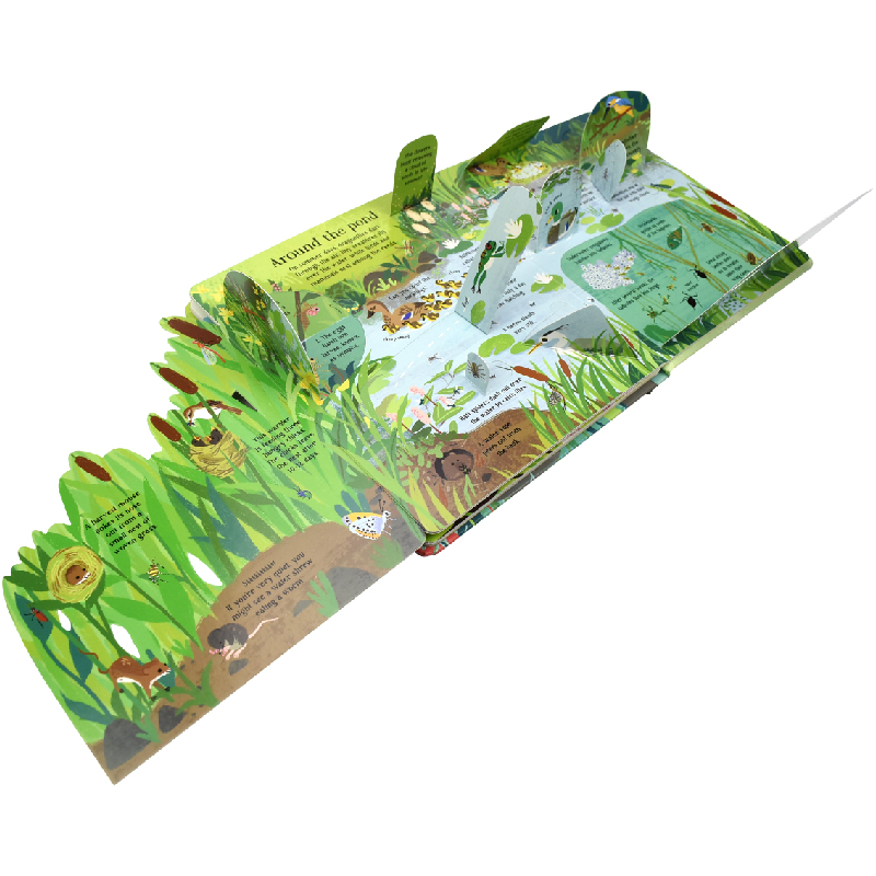 ภาษาอังกฤษ Montessori 3D Usbor - Kids Nature Education บทวิจารณ์และราคา